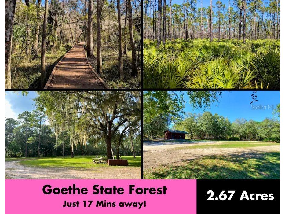 SE 194th Court Morriston FL 32668 TB8528532 image6