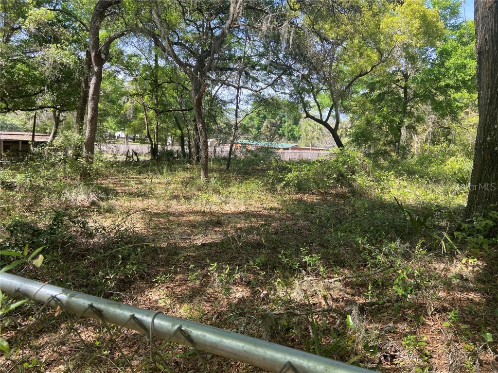 SE 1st Lane Silver Springs FL 34488 OM675041 image1