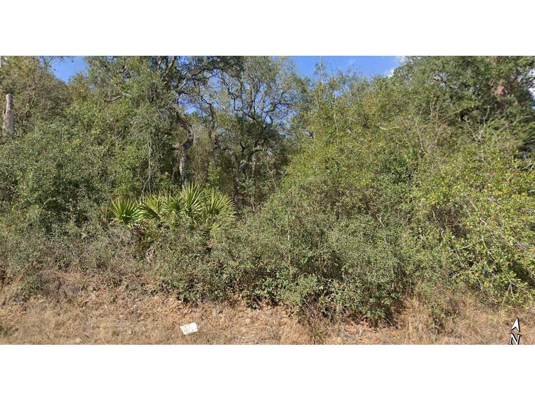 SE 214 Terrace Umatilla FL 32784 O6217997 image1