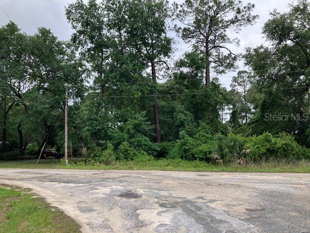 SE 21st Place Road Silver Springs FL 34488 - North Lake G5104945 image4