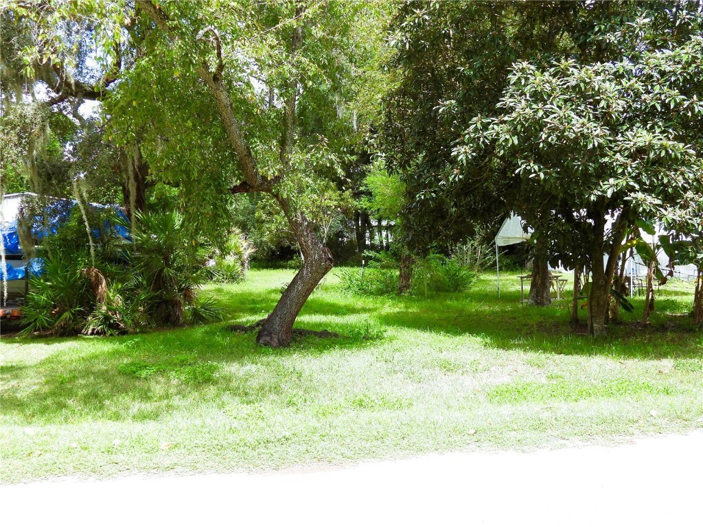 SE 21st Place Silver Springs FL 34488 OM708989 image1