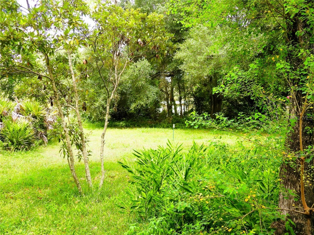 SE 21st Place Silver Springs FL 34488 OM708989 image2