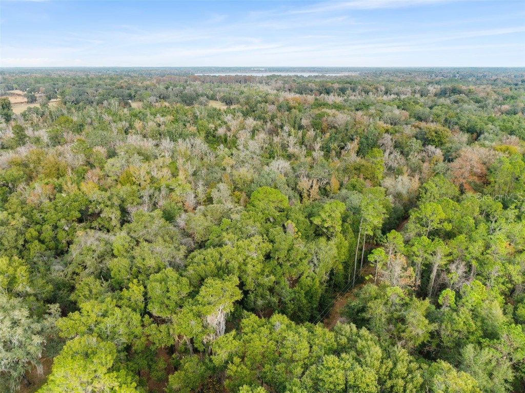 SE 225th Drive Hawthorne FL 32640 GC535872 image11