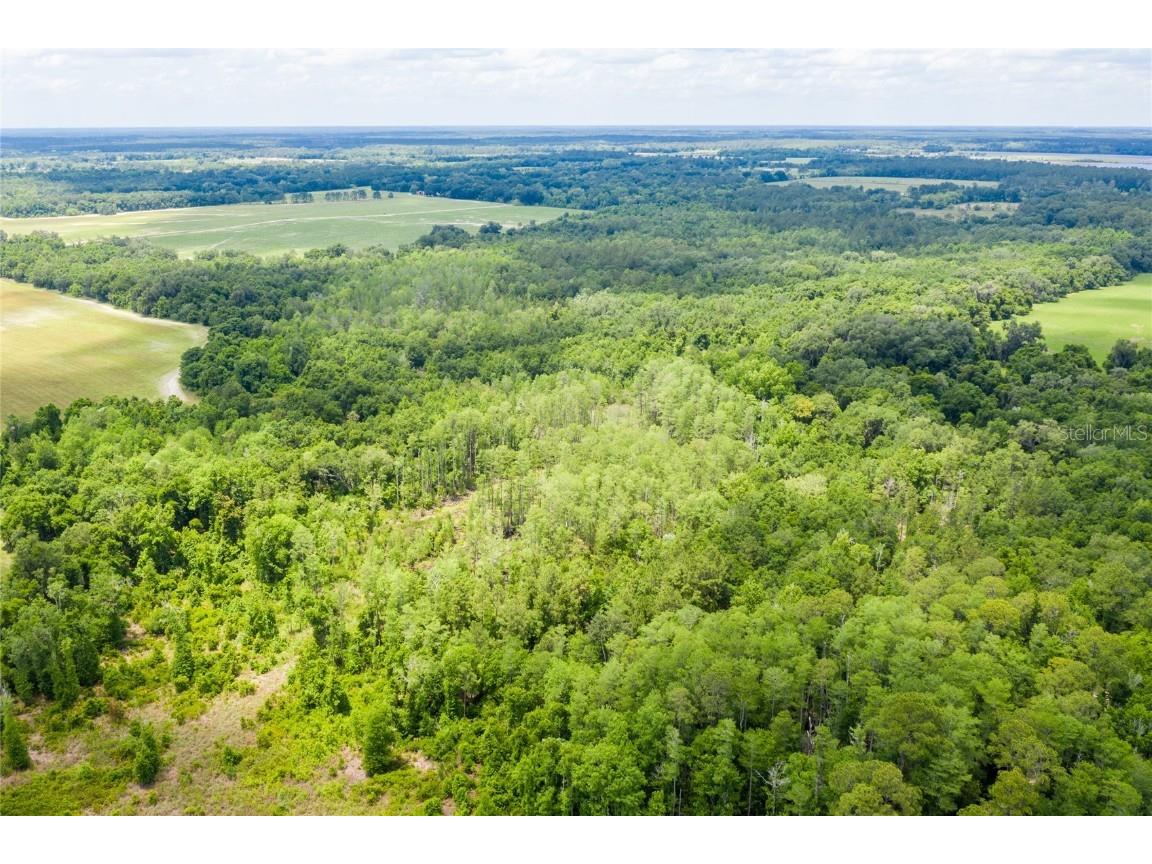 SE 245th Street Hawthorne FL 32640 GC512783 image1