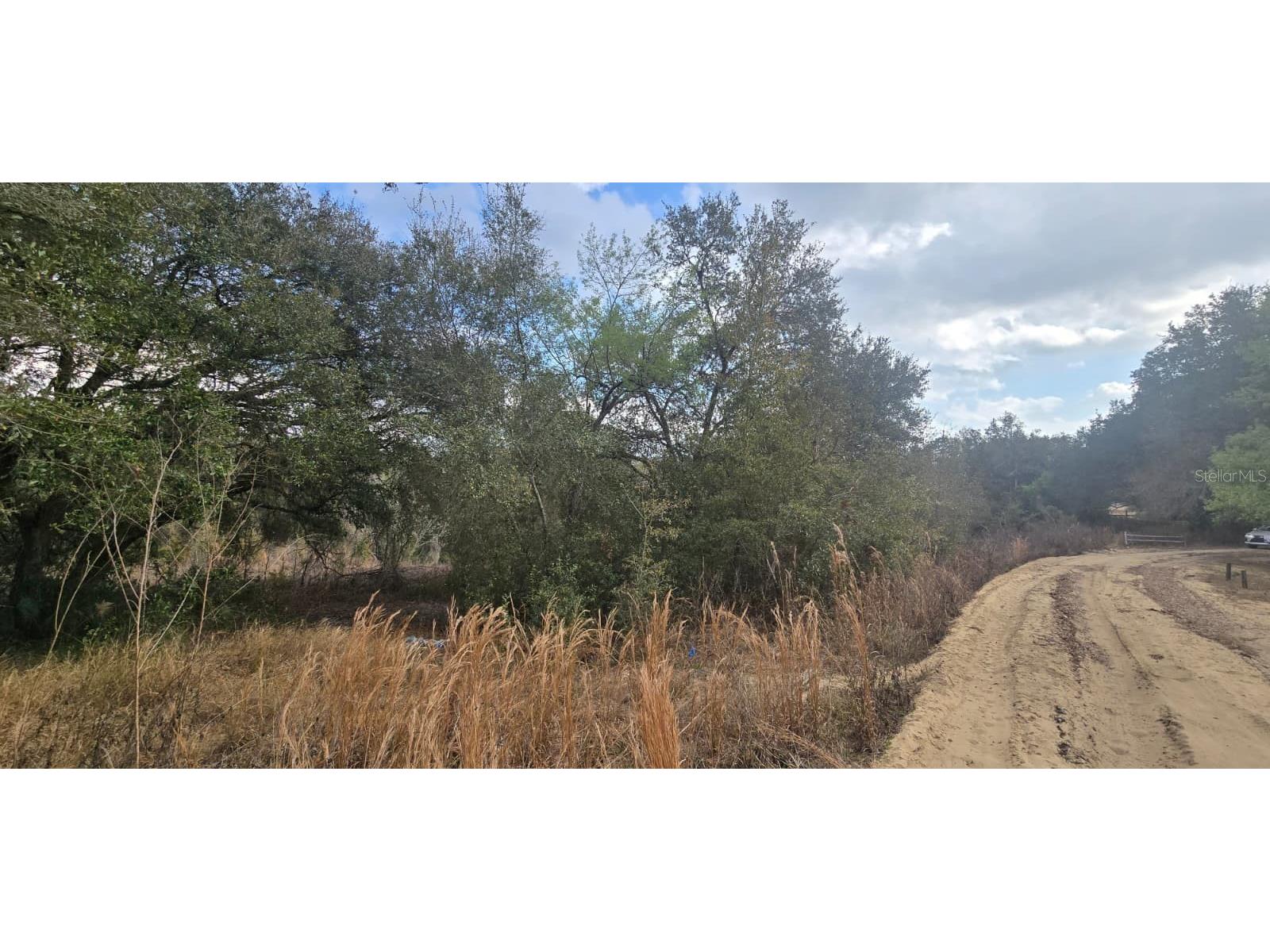 SE 252nd Ave Umatilla FL 32784 G5107873 image1