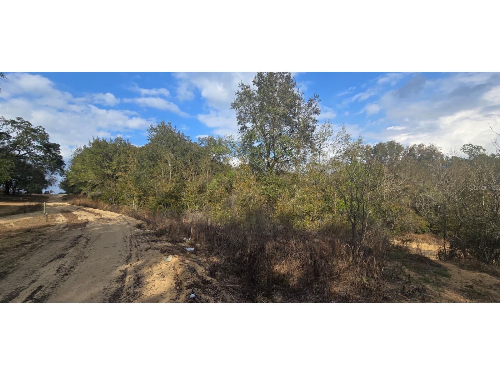SE 252nd Ave Umatilla FL 32784 G5107873 image2