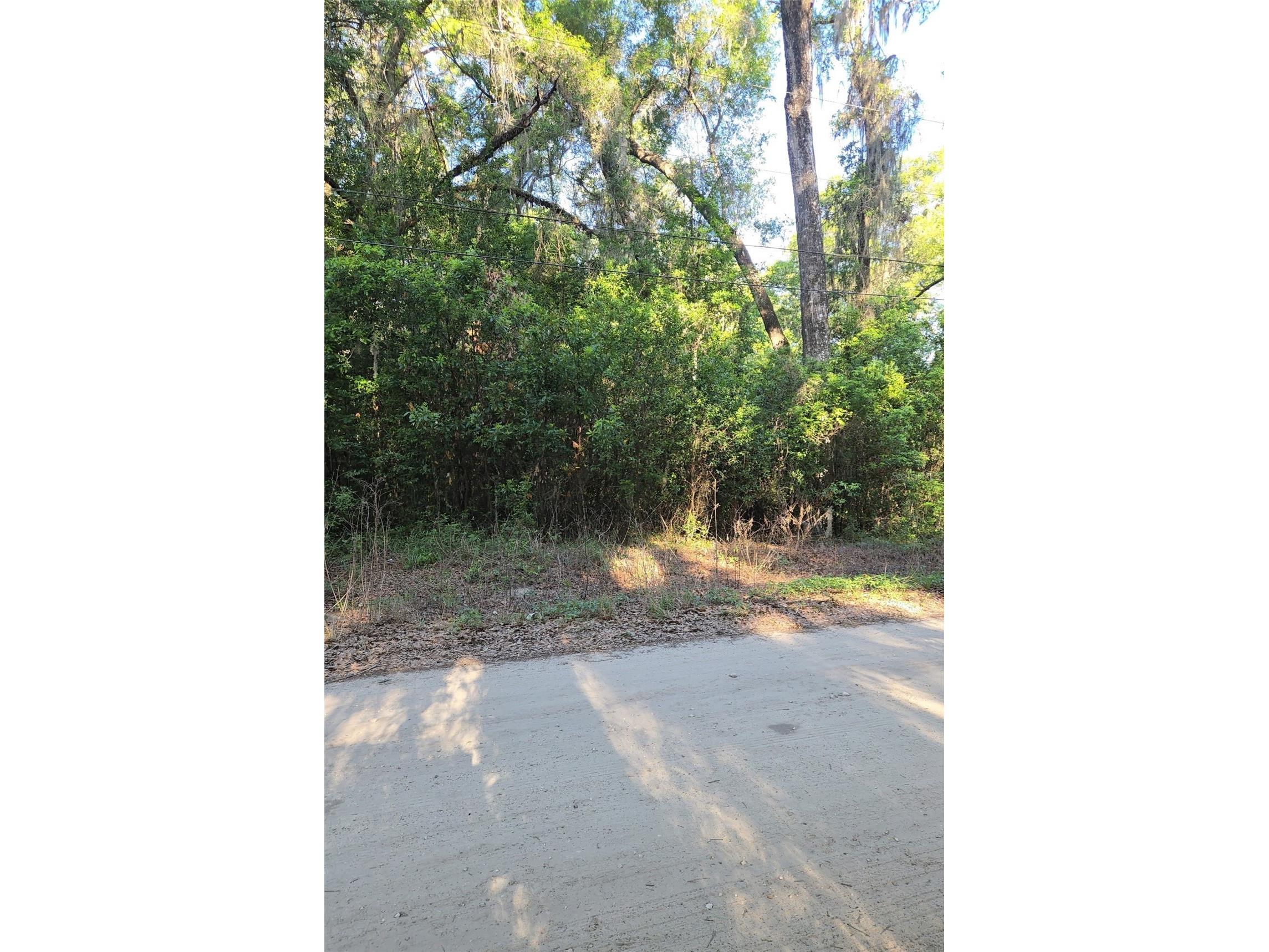 Se 28th Ct. Summerfield FL 34491 OM721291 image1