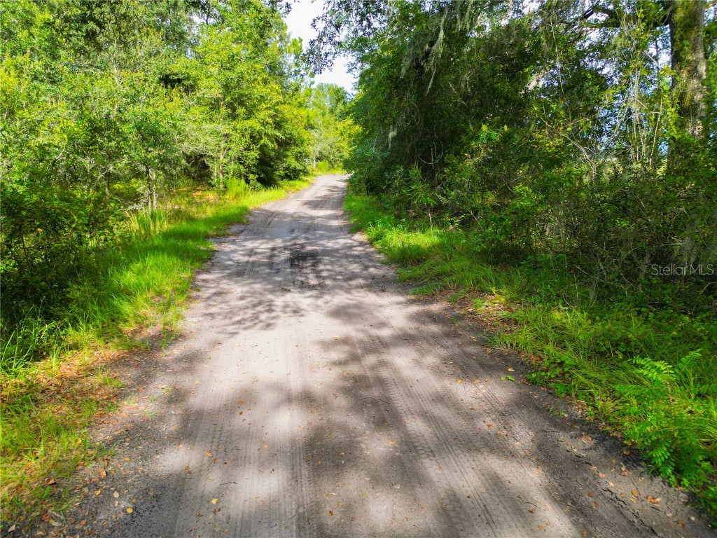 Se 29th Blvd Sumterville FL 33585 G5072357 image6