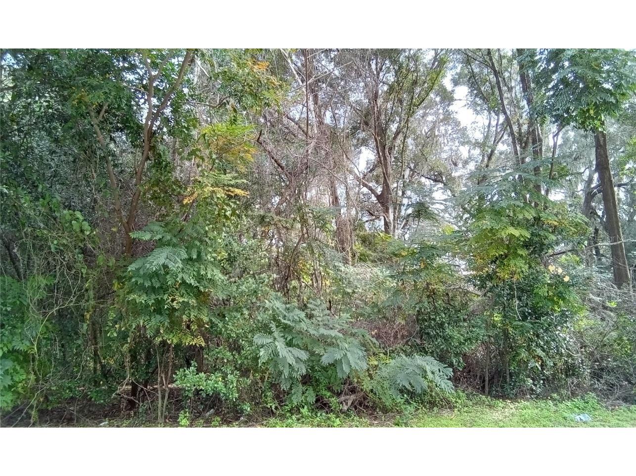 SE 30th Ct Belleview FL 34420 OM672374 image1