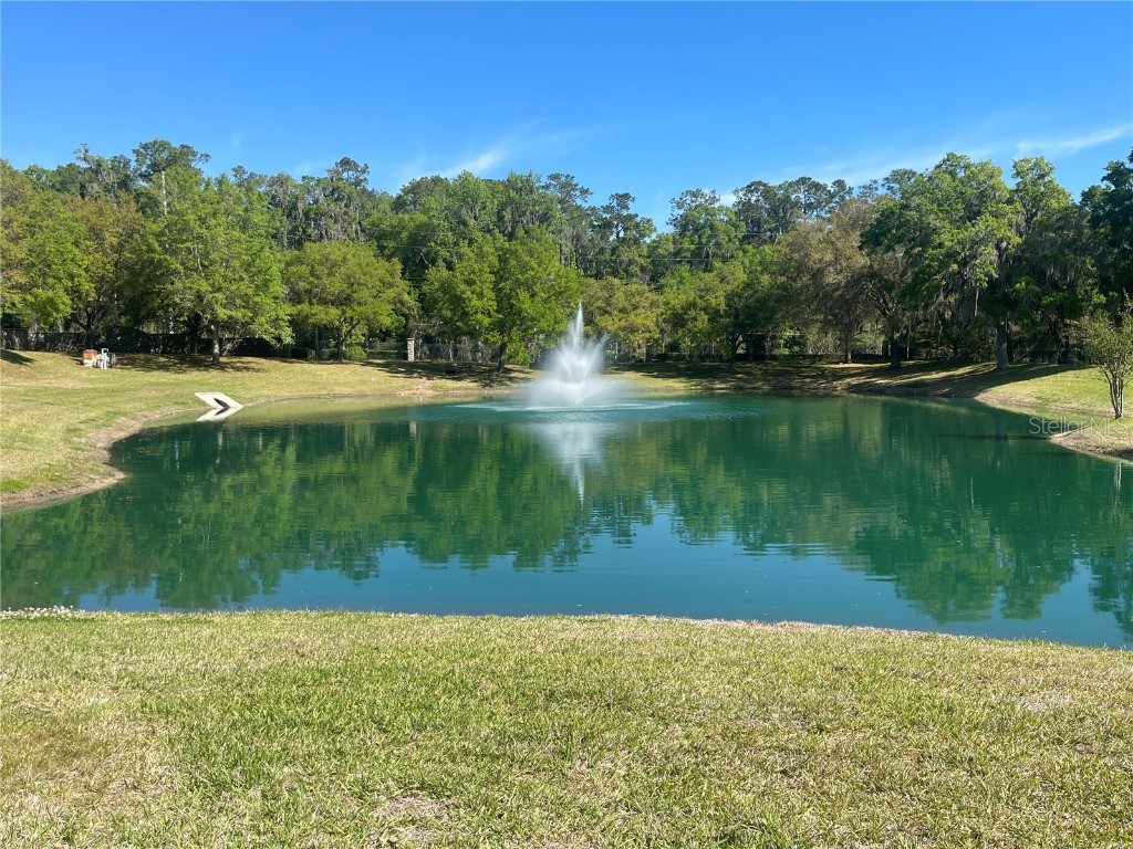 SE 31st Lane Ocala FL 34471 OM709596 image12