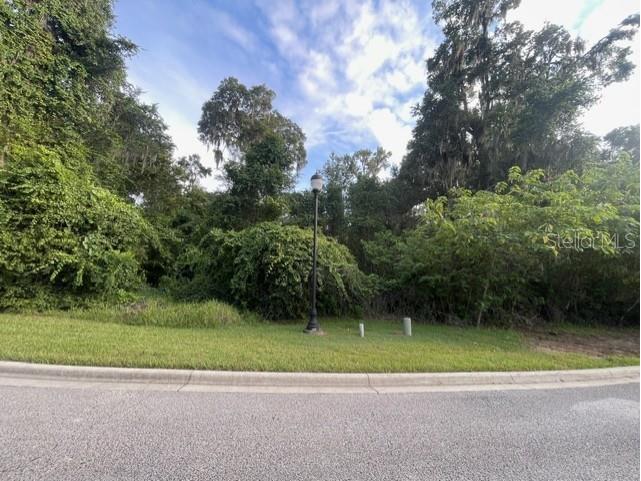 SE 31st Lane Ocala FL 34471 OM709596 image4