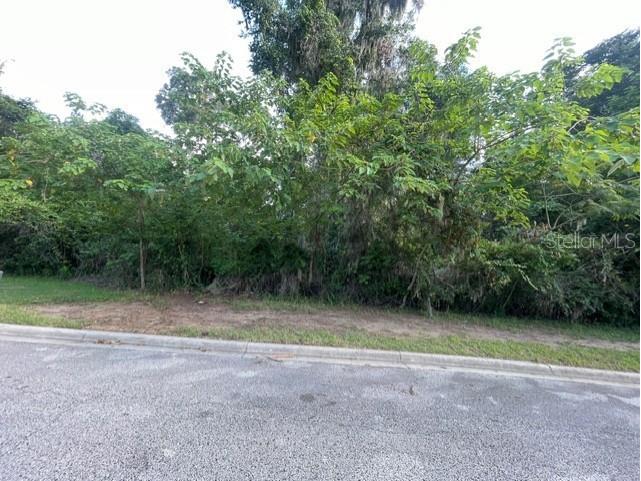 SE 31st Lane Ocala FL 34471 OM709596 image5