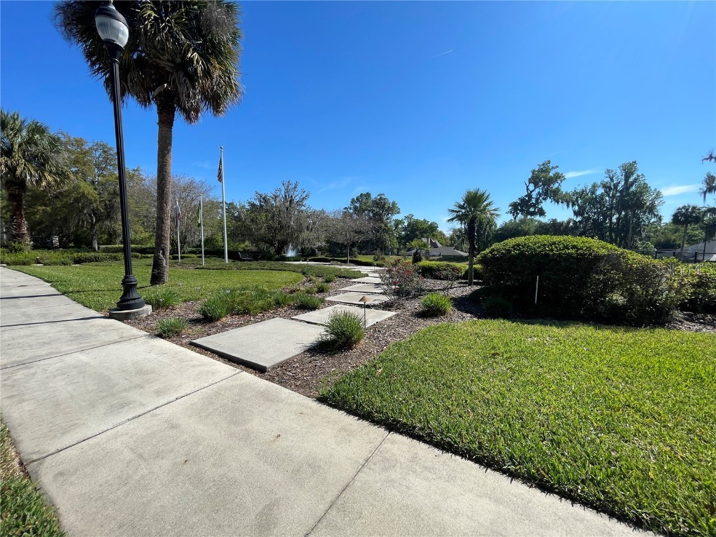 SE 31st Lane Ocala FL 34471 OM709596 image6