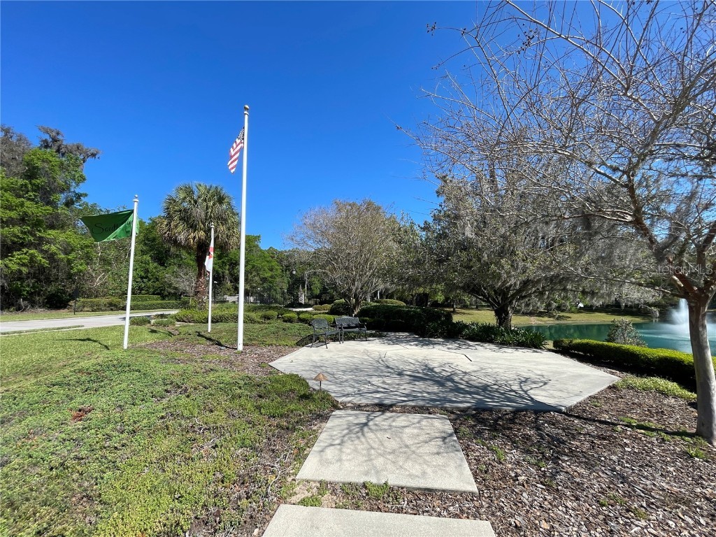 SE 31st Lane Ocala FL 34471 OM709596 image8