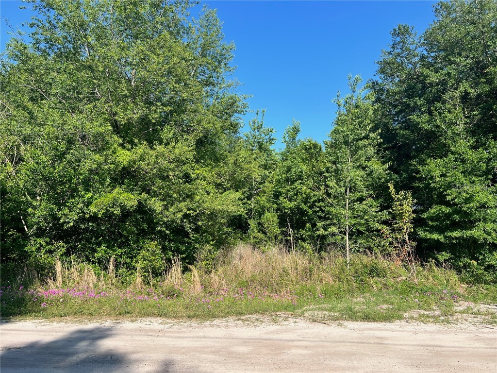 SE 35th Court Summerfield FL 34491 OM677222 image1