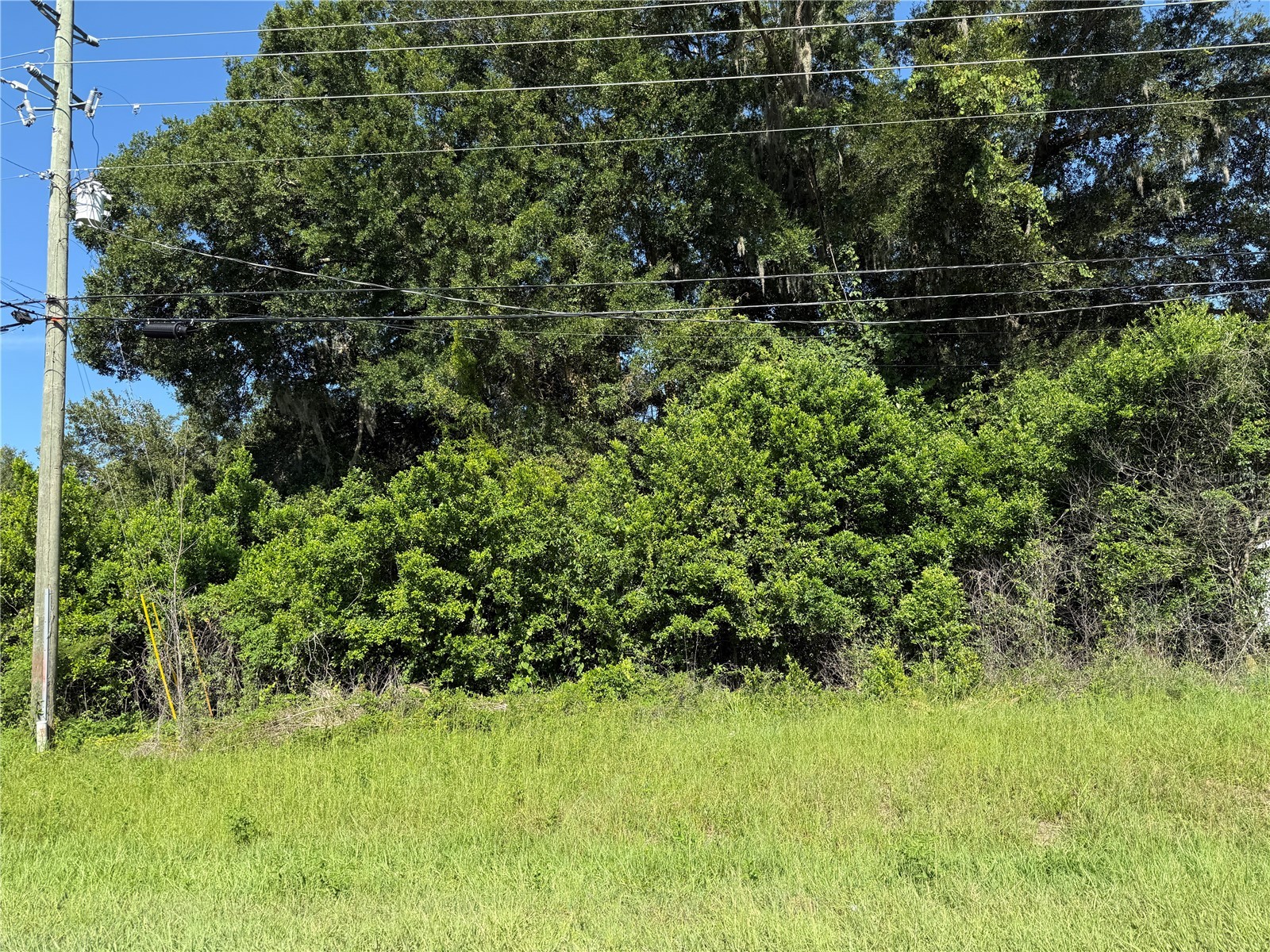SE 35th Court Summerfield FL 34491 O6420205 image1