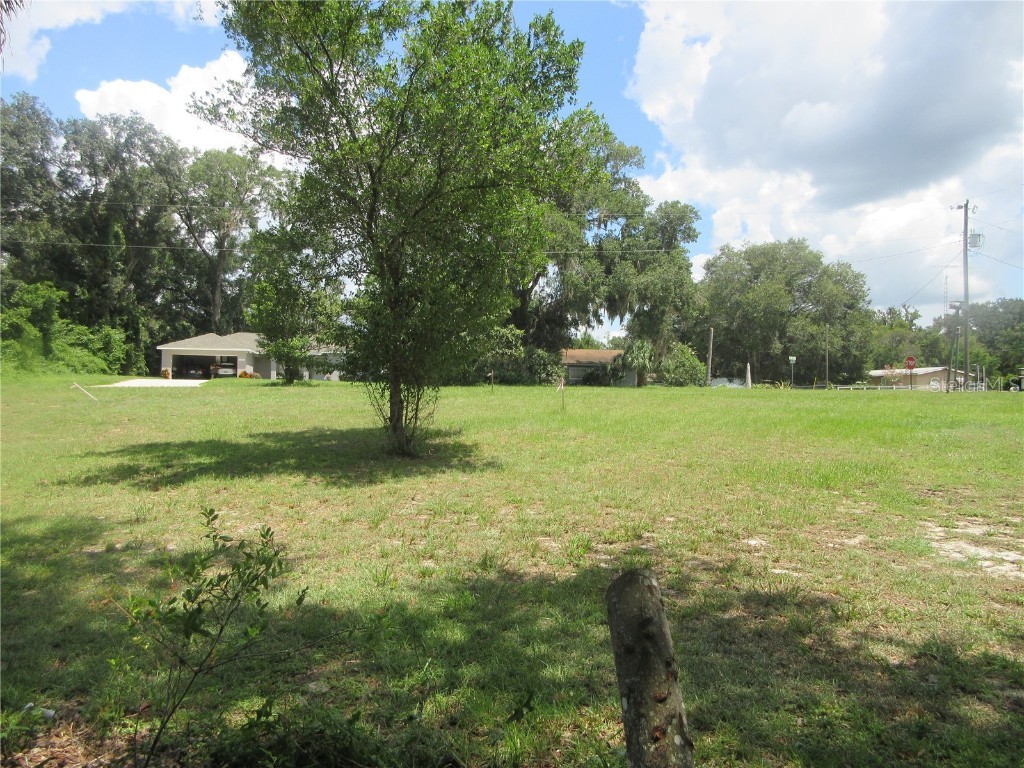 SE 35th Ln Ocklawaha FL 32179 - LAKE BRYANT OM707153 image10