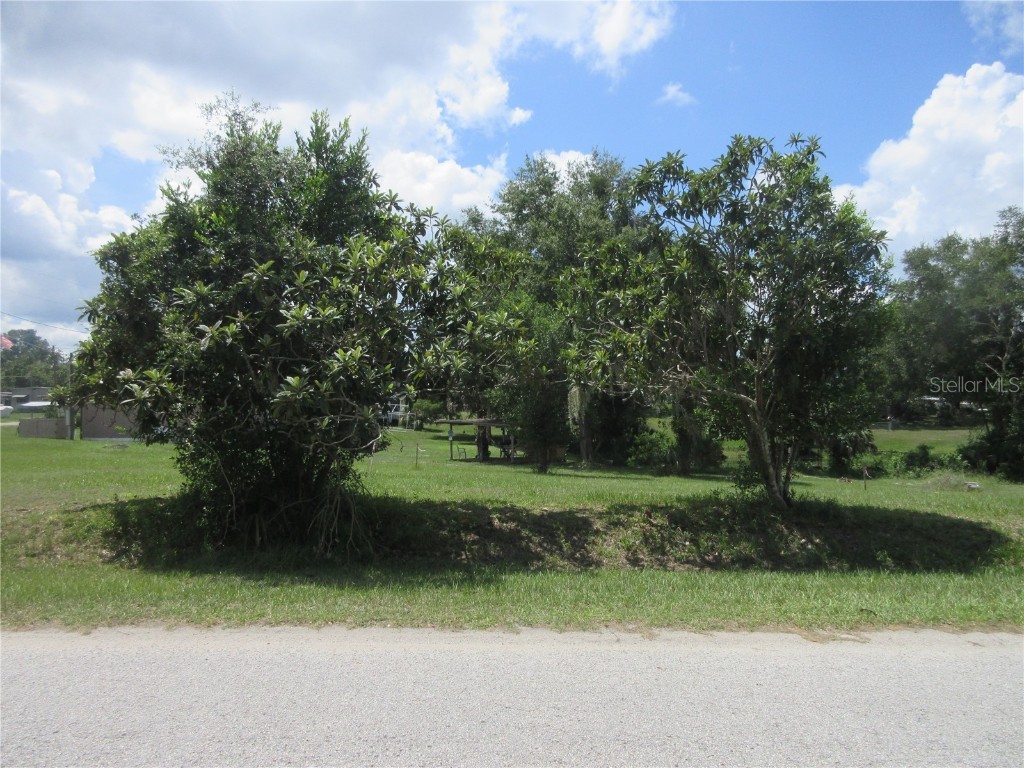 SE 35th Ln Ocklawaha FL 32179 - LAKE BRYANT OM707153 image12