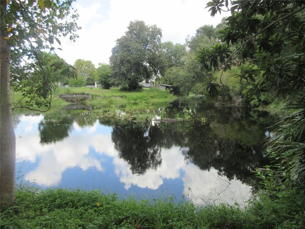 SE 35th Ln Ocklawaha FL 32179 - LAKE BRYANT OM707153 image15