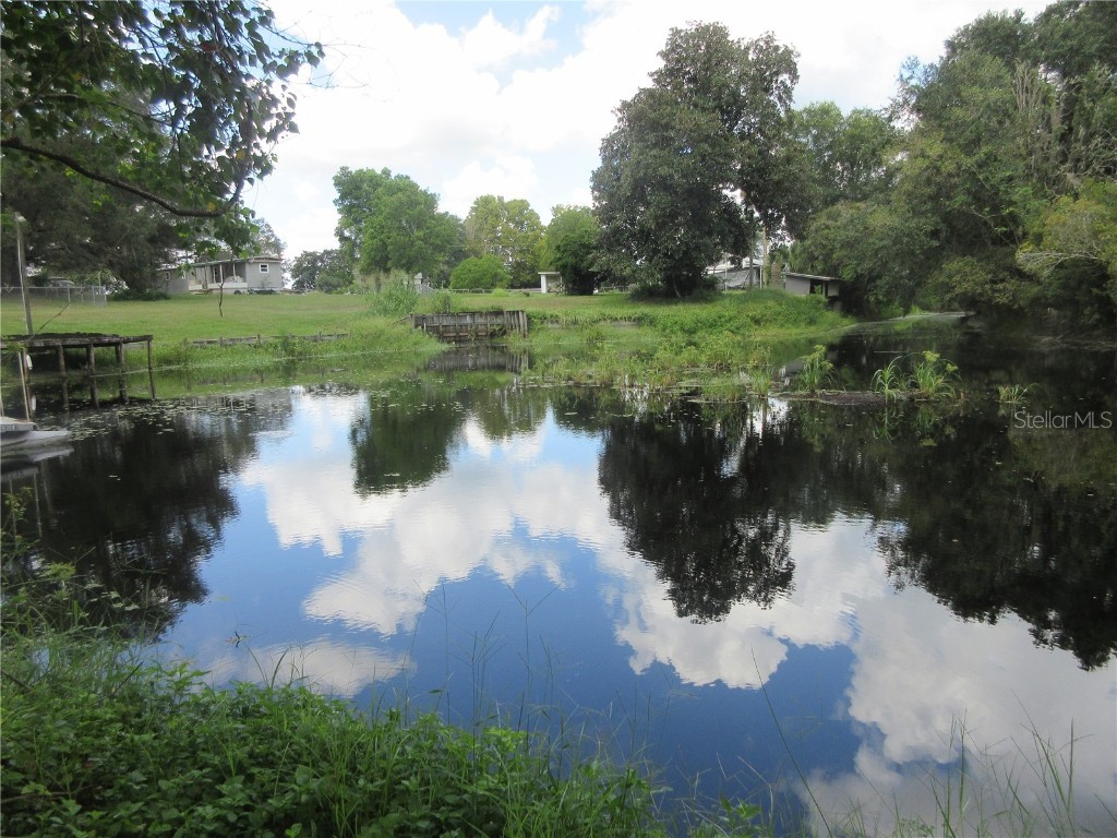 SE 35th Ln Ocklawaha FL 32179 - LAKE BRYANT OM707153 image16