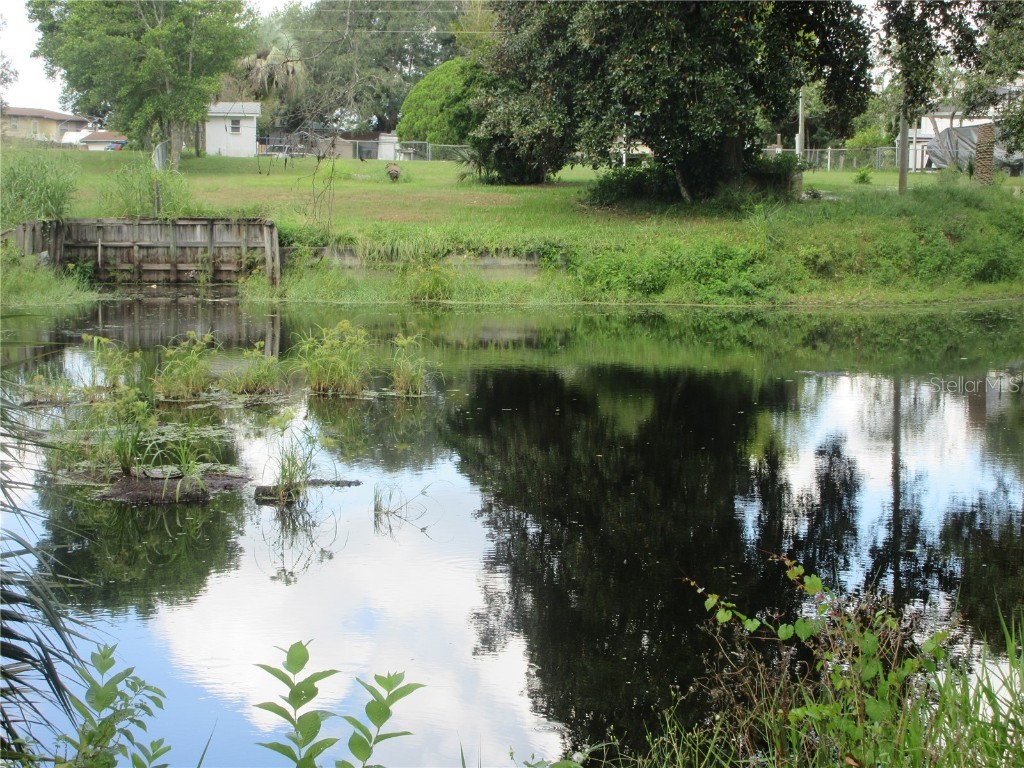 SE 35th Ln Ocklawaha FL 32179 - LAKE BRYANT OM707153 image17