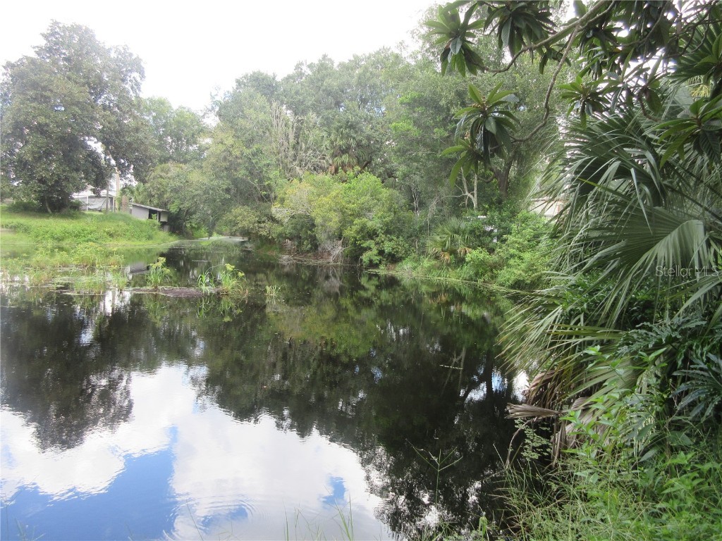 SE 35th Ln Ocklawaha FL 32179 - LAKE BRYANT OM707153 image18