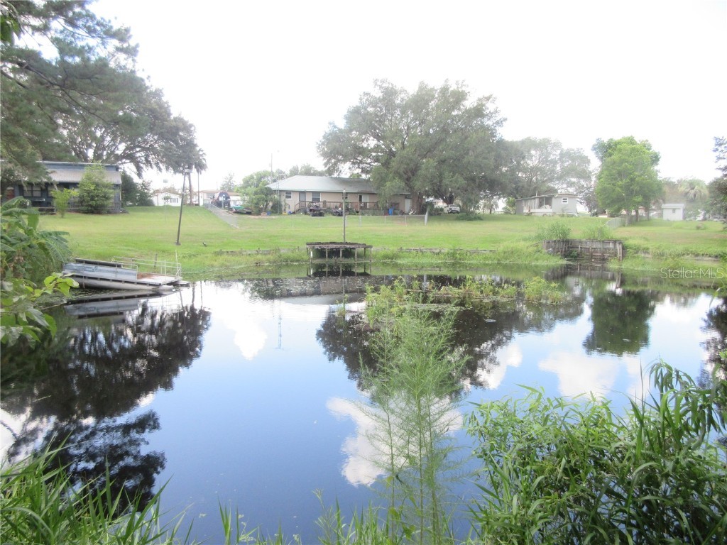 SE 35th Ln Ocklawaha FL 32179 - LAKE BRYANT OM707153 image19