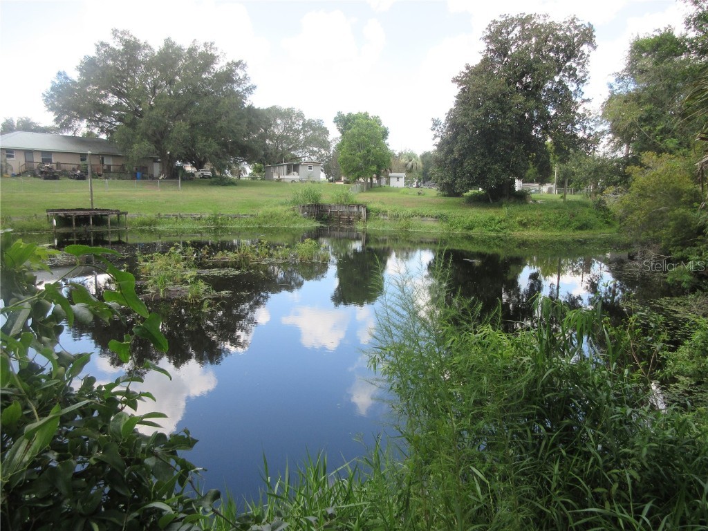 SE 35th Ln Ocklawaha FL 32179 - LAKE BRYANT OM707153 image23