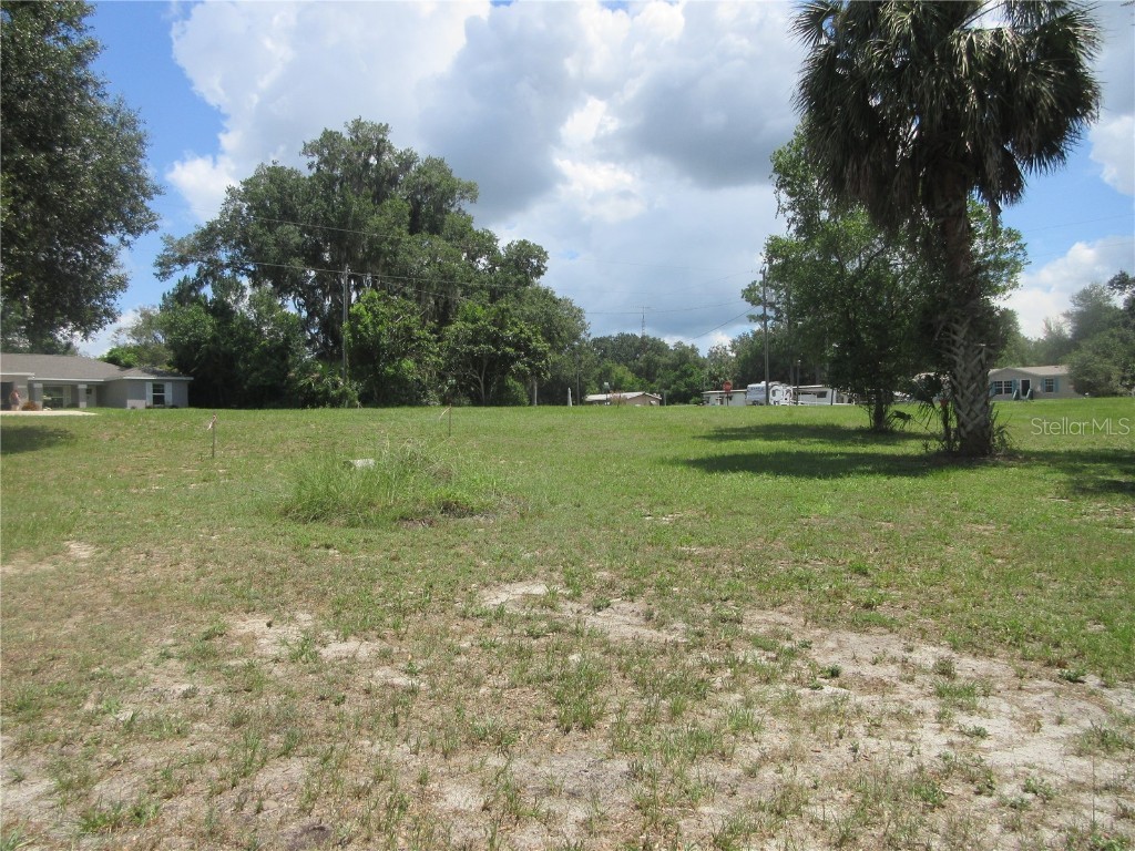 SE 35th Ln Ocklawaha FL 32179 - LAKE BRYANT OM707153 image25