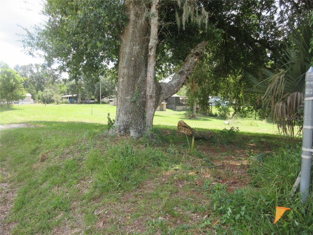 SE 35th Ln Ocklawaha FL 32179 - LAKE BRYANT OM707153 image27