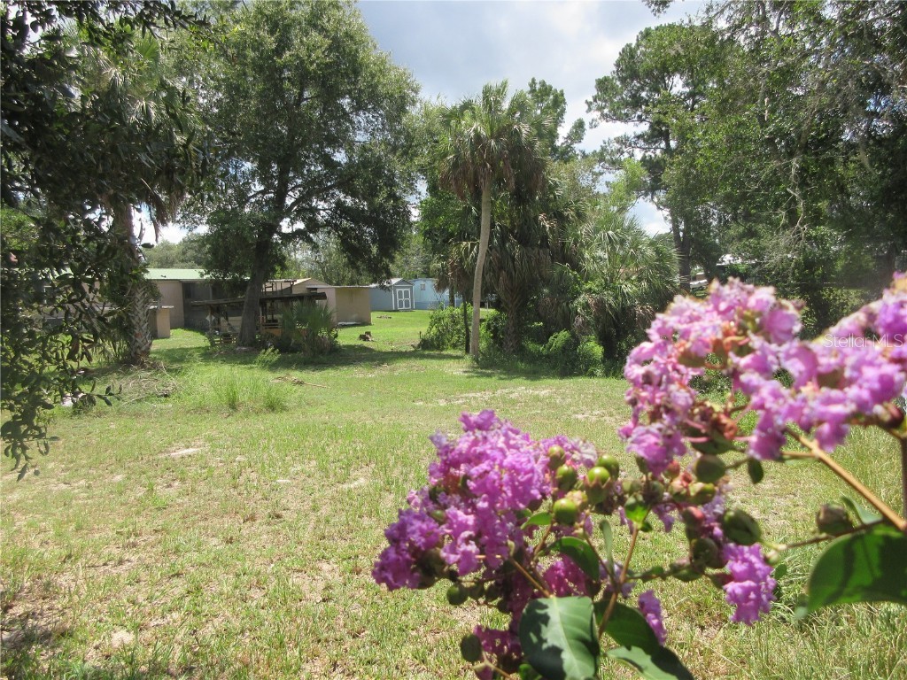 SE 35th Ln Ocklawaha FL 32179 - LAKE BRYANT OM707153 image28