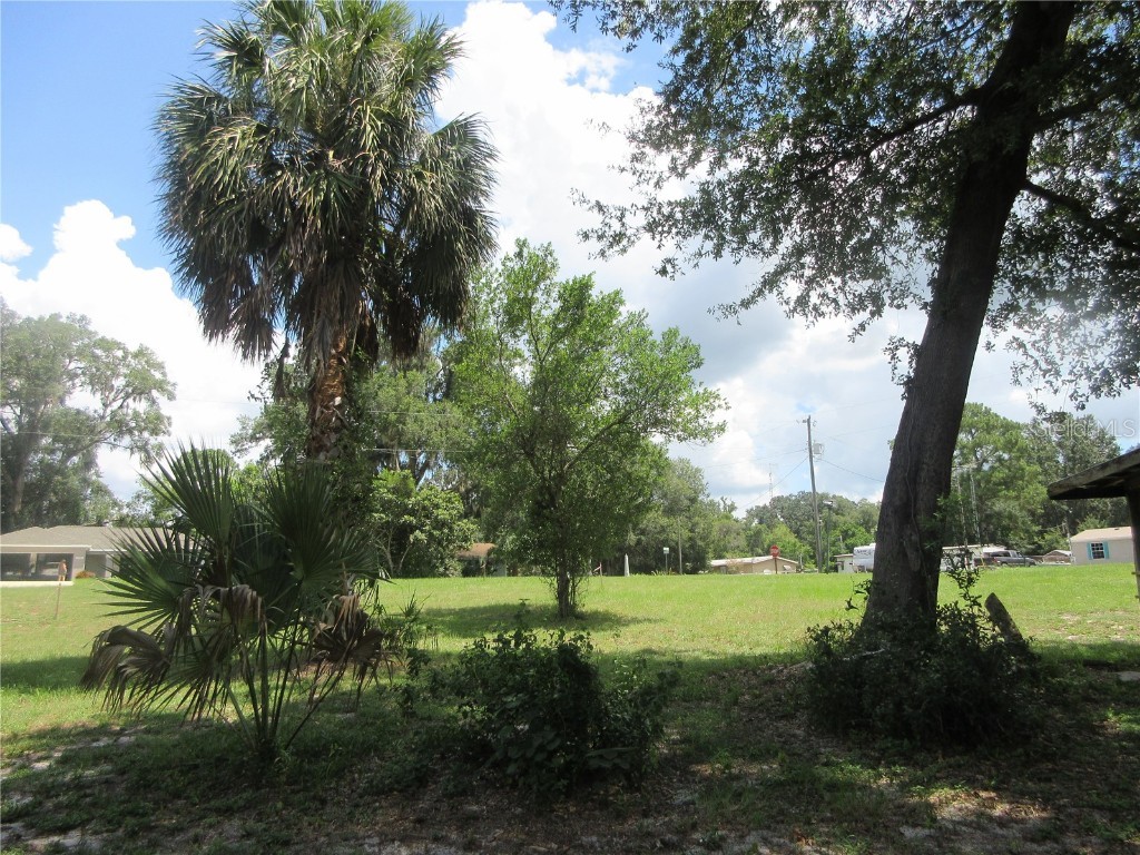 SE 35th Ln Ocklawaha FL 32179 - LAKE BRYANT OM707153 image29