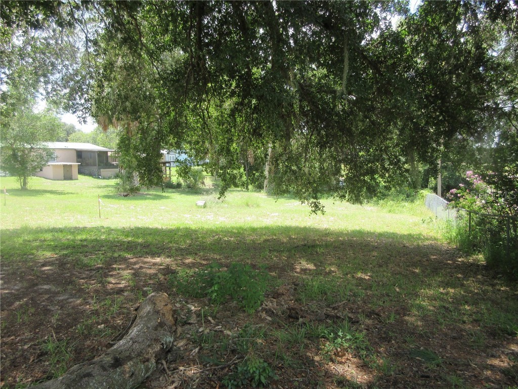 SE 35th Ln Ocklawaha FL 32179 - LAKE BRYANT OM707153 image30