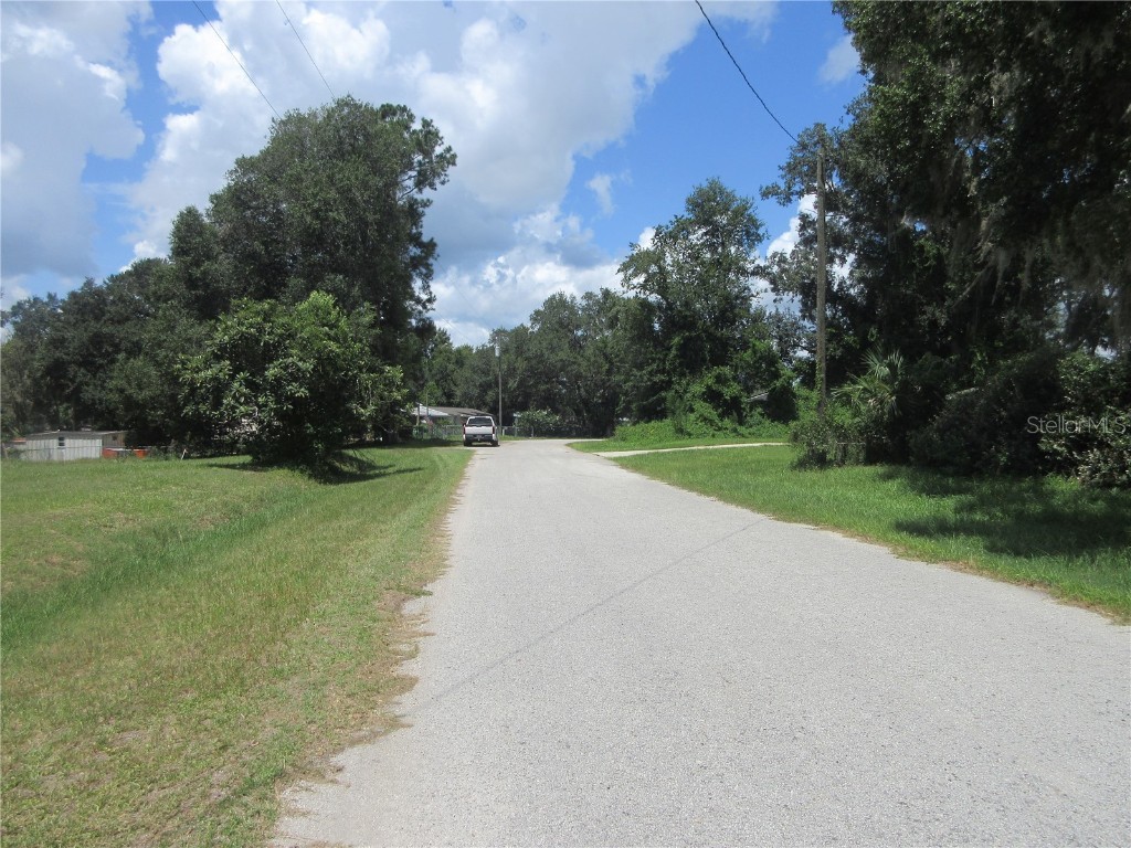 SE 35th Ln Ocklawaha FL 32179 - LAKE BRYANT OM707153 image31