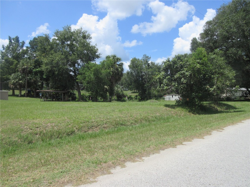 SE 35th Ln Ocklawaha FL 32179 - LAKE BRYANT OM707153 image4