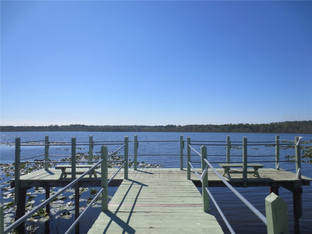 SE 35th Ln Ocklawaha FL 32179 - LAKE BRYANT OM707153 image41