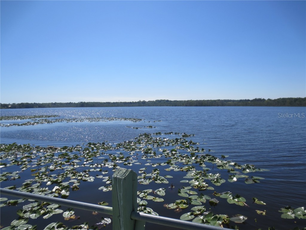 SE 35th Ln Ocklawaha FL 32179 - LAKE BRYANT OM707153 image43