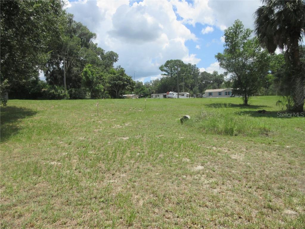 SE 35th Ln Ocklawaha FL 32179 - LAKE BRYANT OM707153 image5