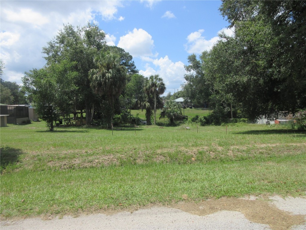 SE 35th Ln Ocklawaha FL 32179 - LAKE BRYANT OM707153 image6