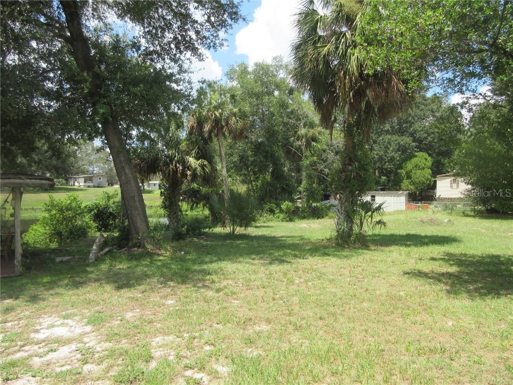 SE 35th Ln Ocklawaha FL 32179 - LAKE BRYANT OM707153 image7
