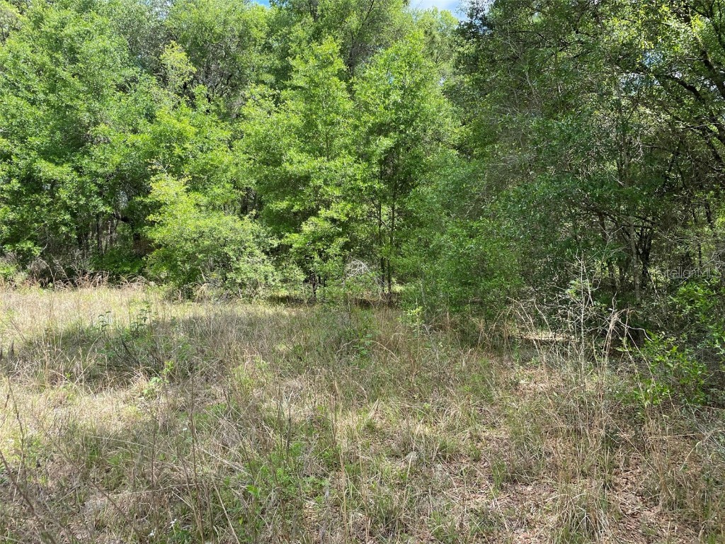 SE 36th Court Summerfield FL 34491 S5065583 image1