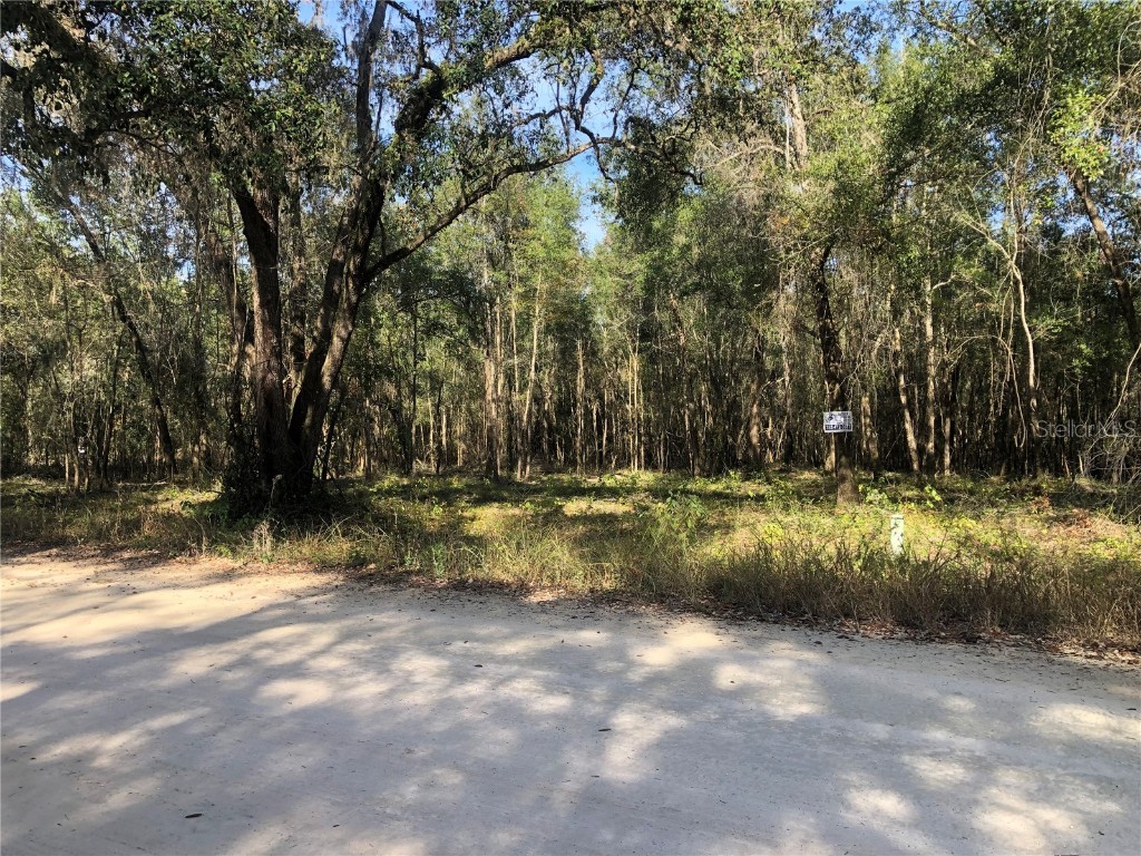 SE 37th Trail Trenton FL 32693 - WATERS LAKE GC517759 image1