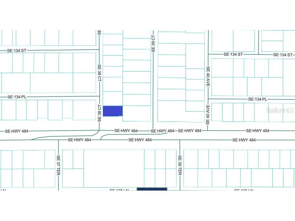 SE 38th Court Summerfield FL 34491 OM717393 image1