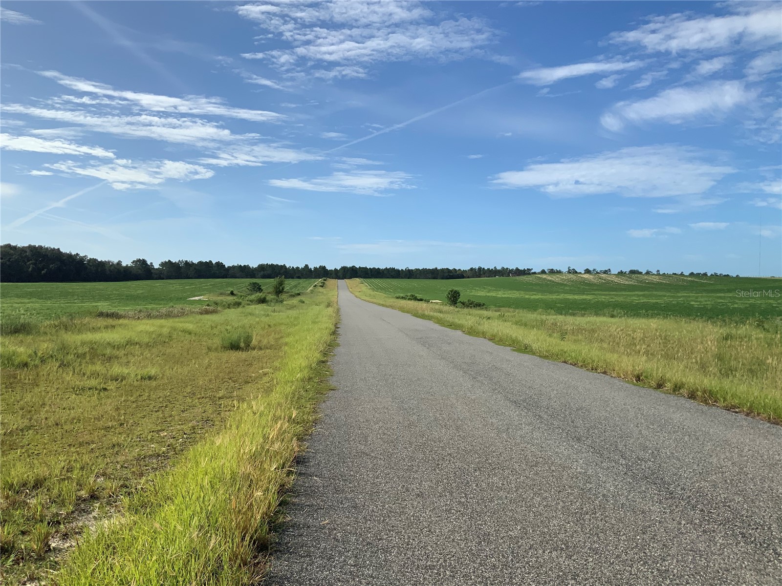 SE 39th. Lot 33 Street Morriston FL 32668 OM714986 image1