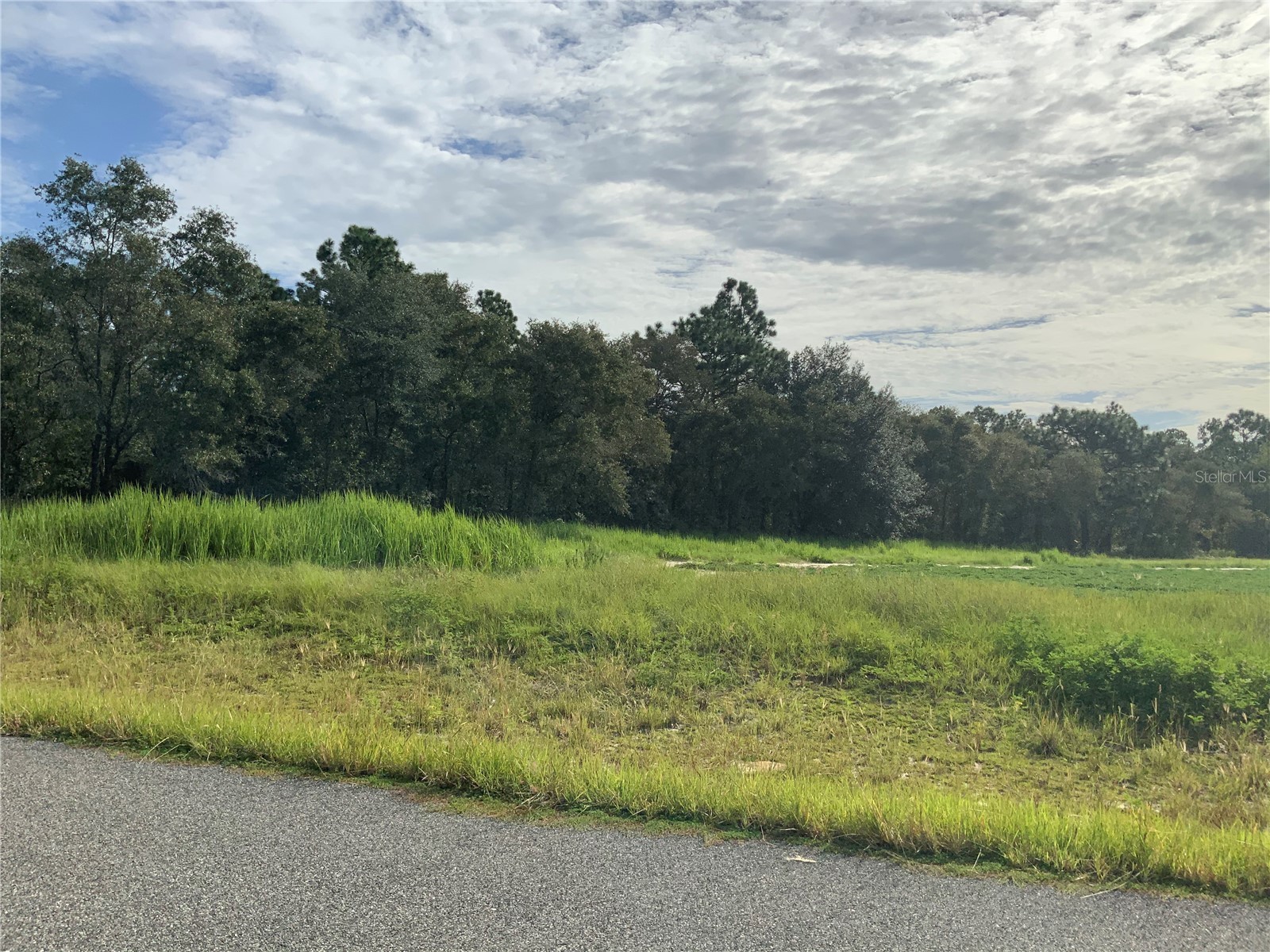 SE 39th. Lot 33 Street Morriston FL 32668 OM714986 image2