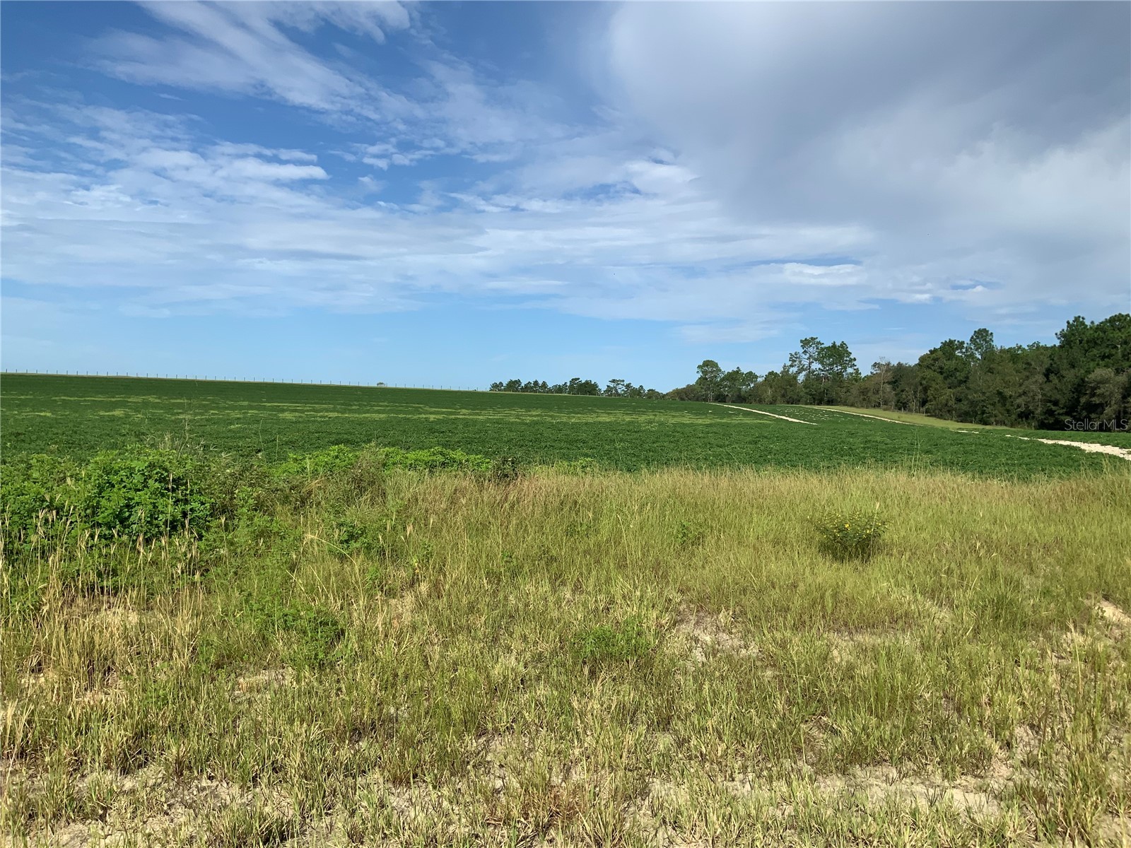 SE 39th. Lot 33 Street Morriston FL 32668 OM714986 image4