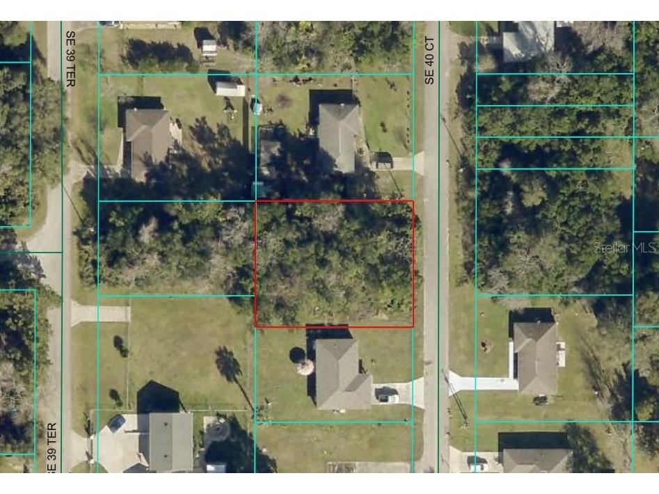 Se 40th Court Summerfield FL 34491 OM708702 image1