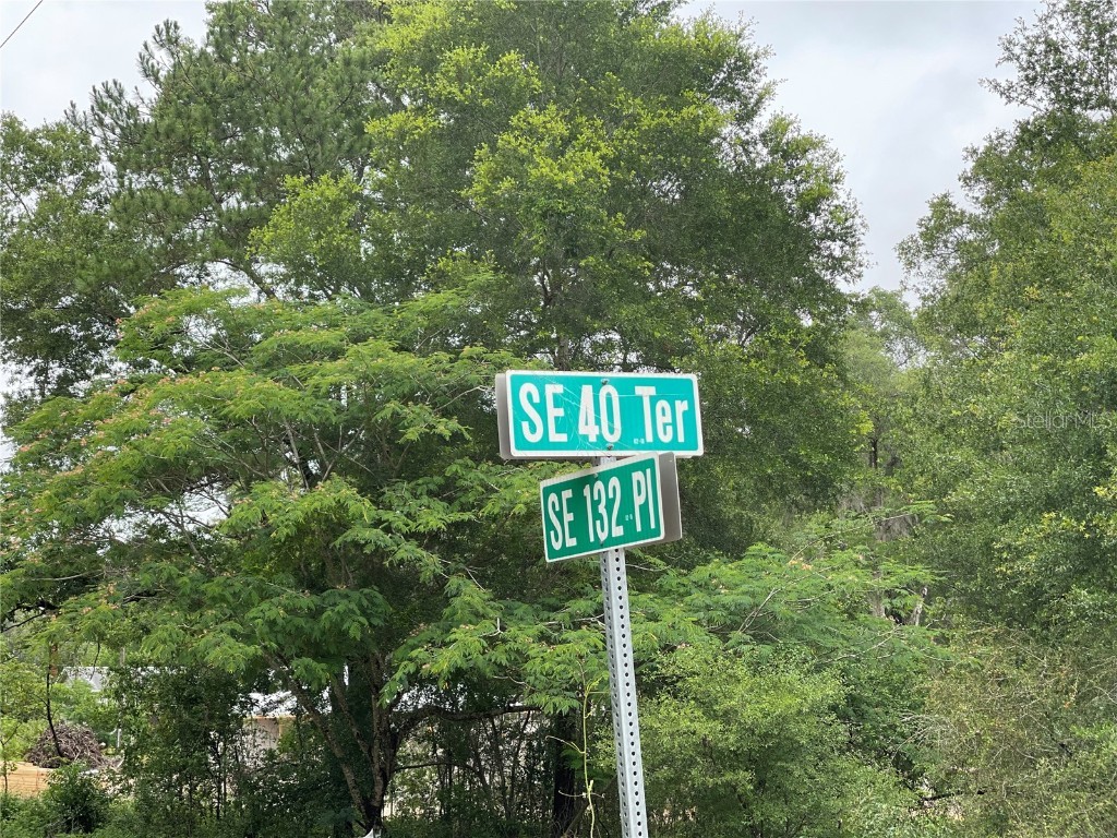 Se 40th Terrace Belleview FL 34420 O6028002 image1