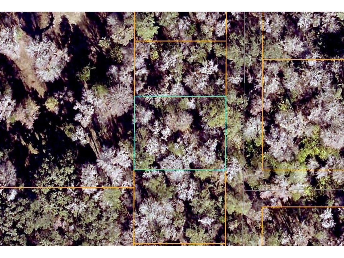 SE 41st Terrace Belleview FL 34420 G5093130 image5