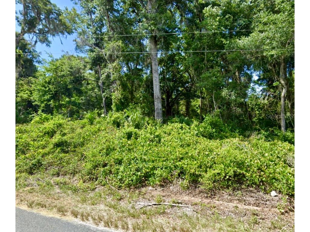 SE 41st Terrace Summerfield FL 34491 T3542123 image1